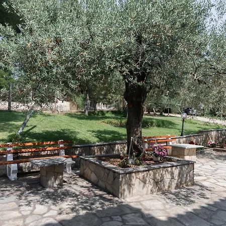 公寓 Aion Oikies 尼基季