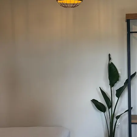 Apartman Aion Oikies Nikíti