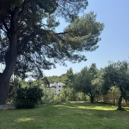Apartman Aion Oikies *