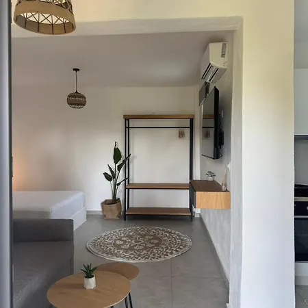 Apartman Aion Oikies