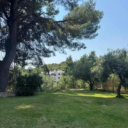 Aion Oikies Apartamento Nikiti (Sithonia)